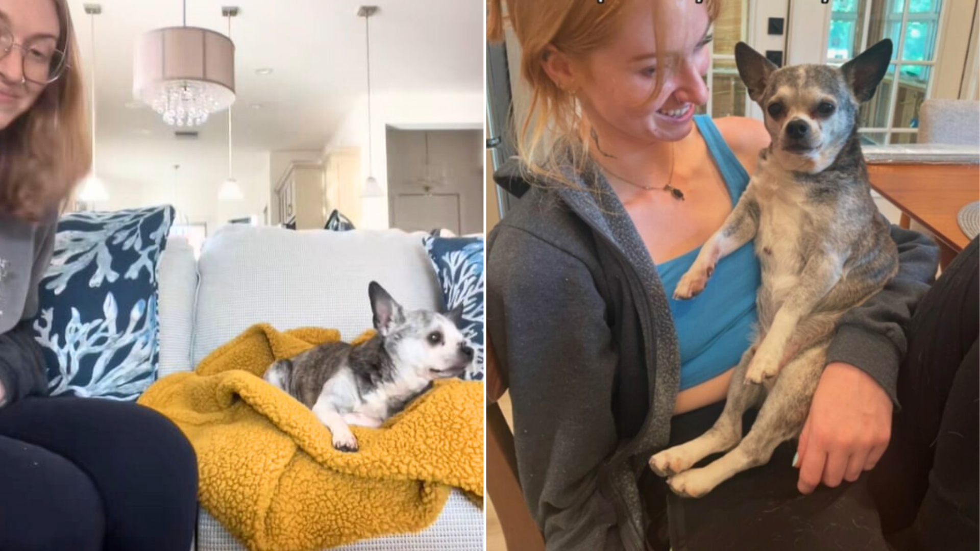 woman holding dog