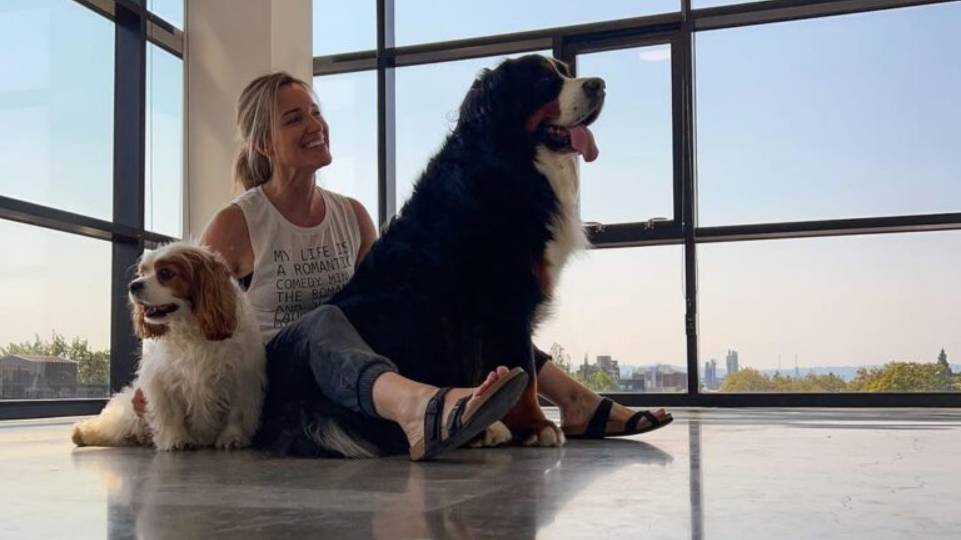 huge dog sitting on woman's lap