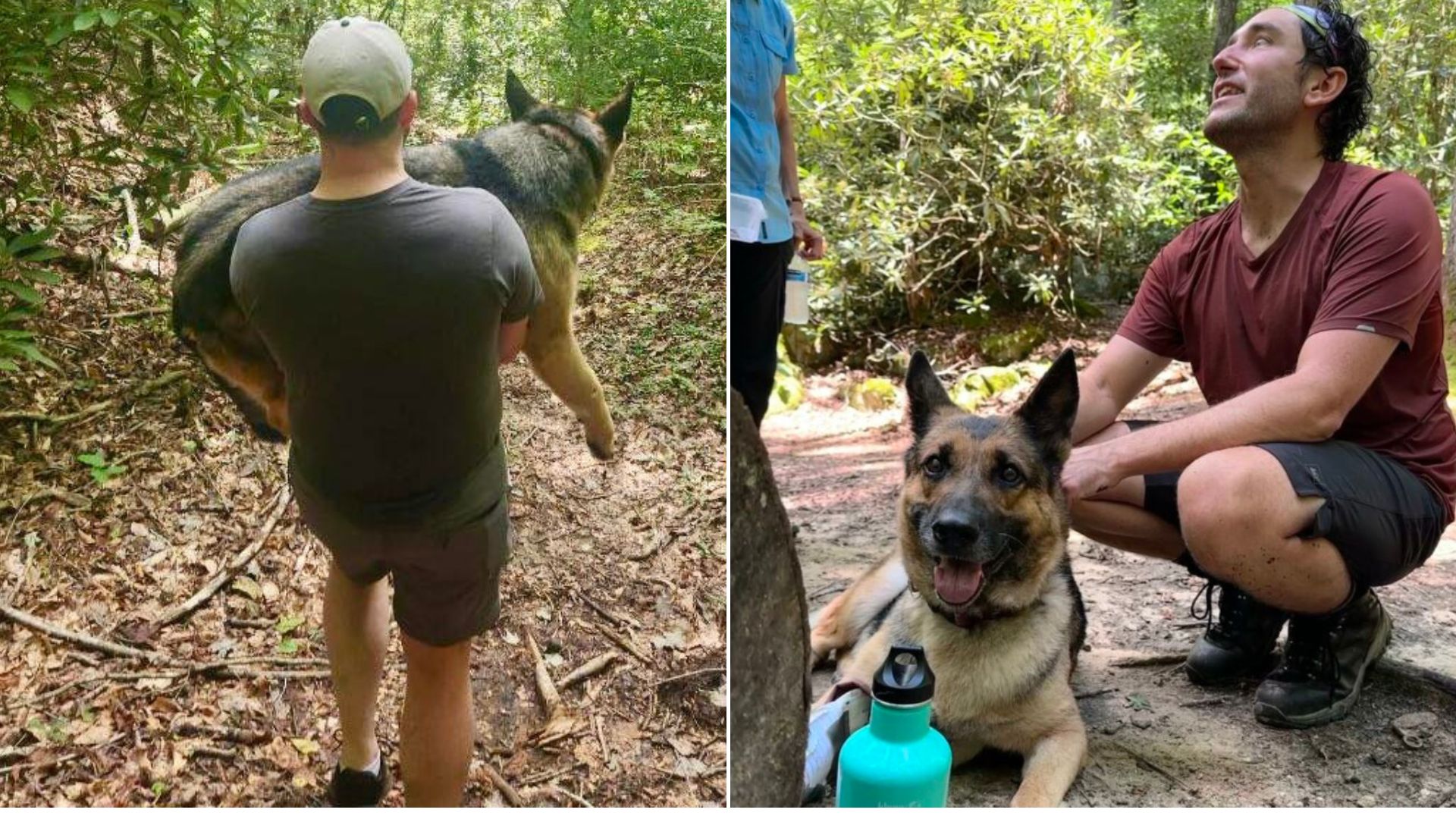 man and senior dog
