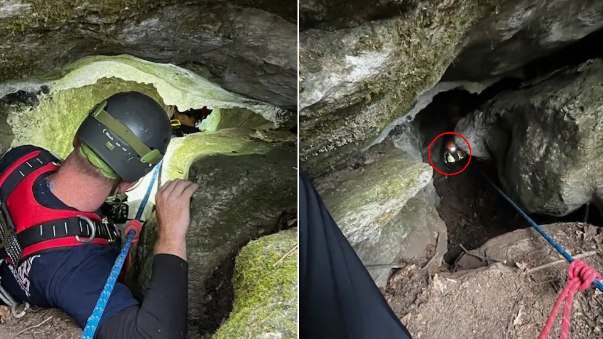 dog rescued from cave