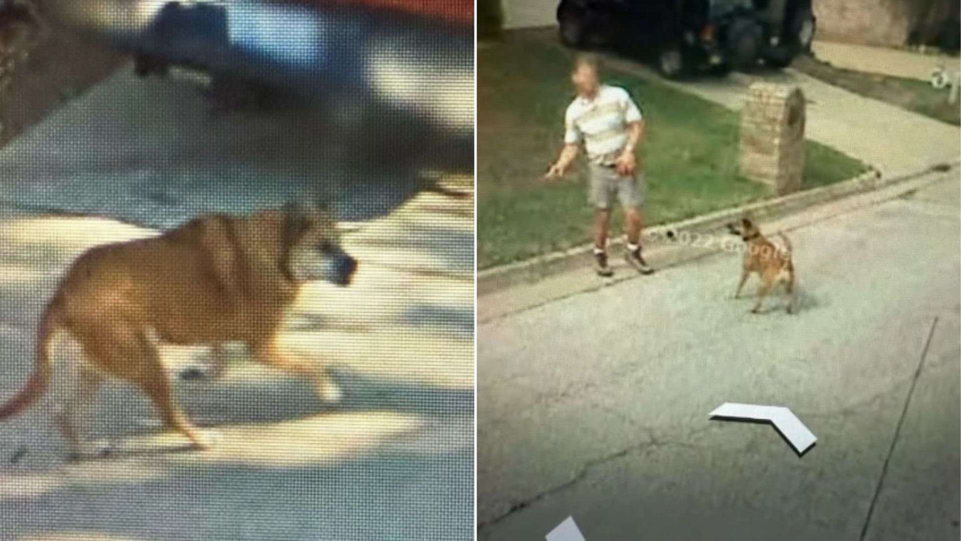 pictures from Google Earth