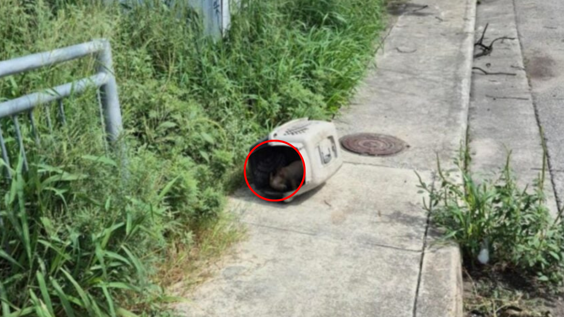 crate abandoned on road
