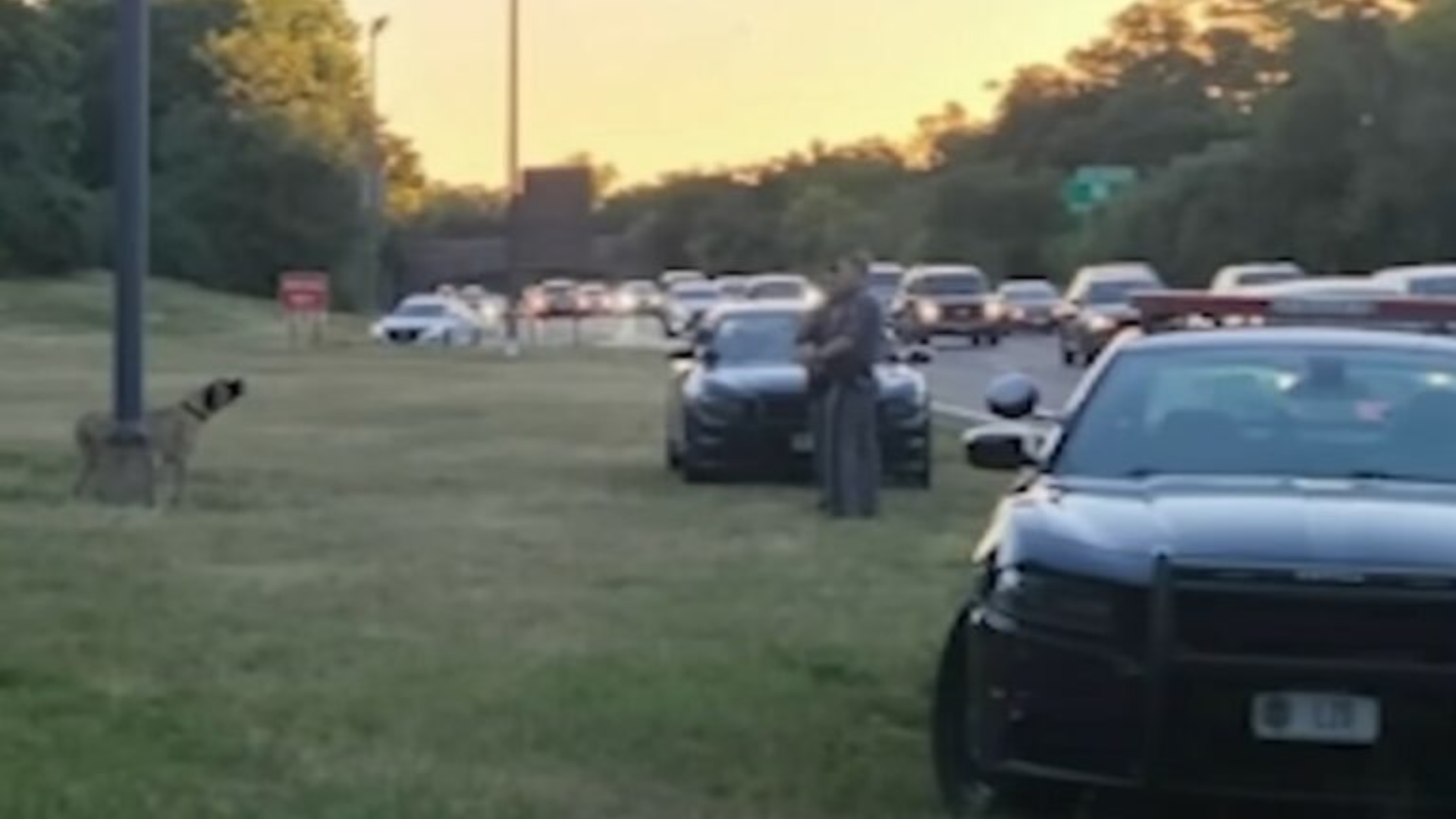 officer rescuing dog