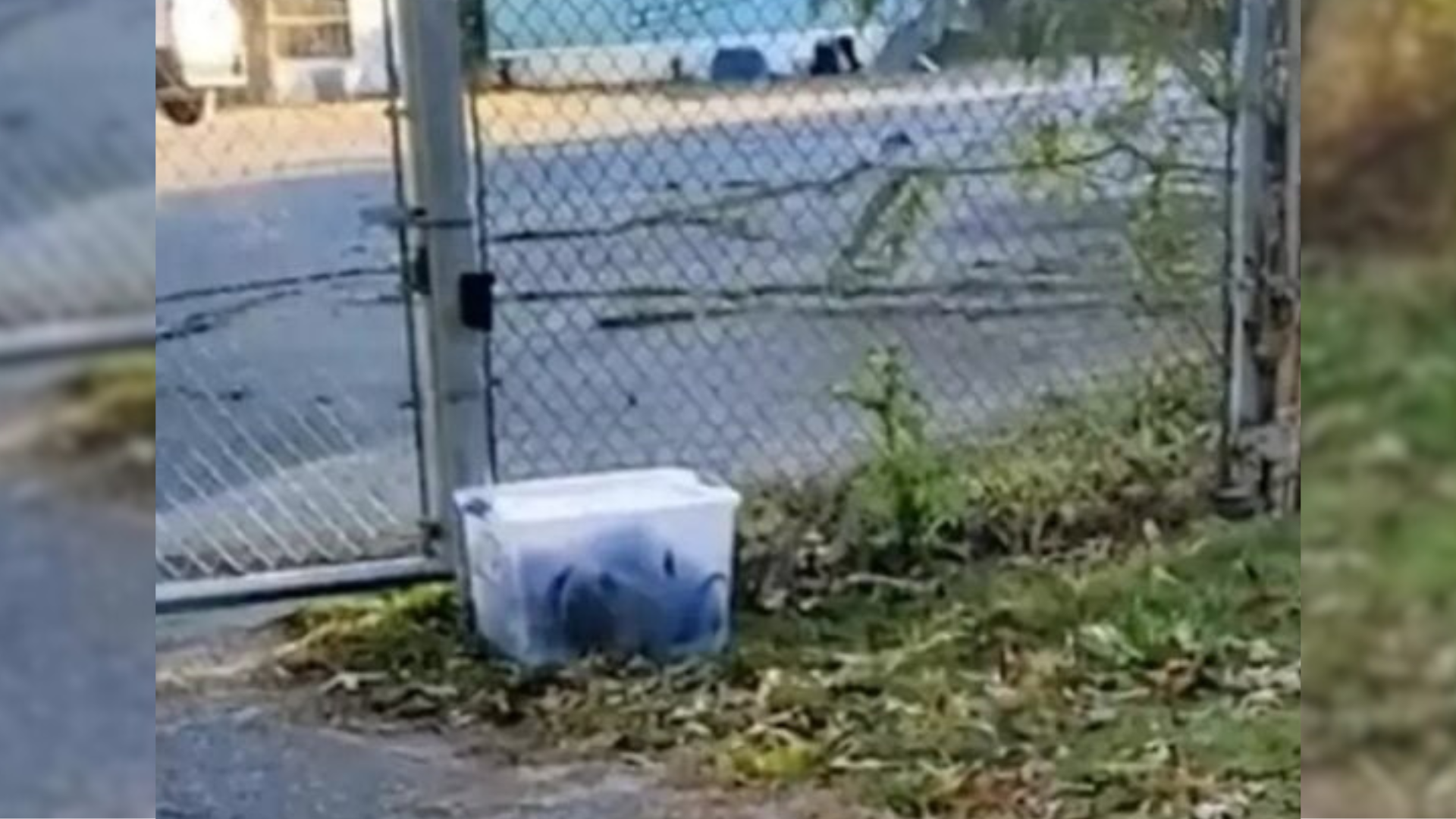 plastic crate near fencce