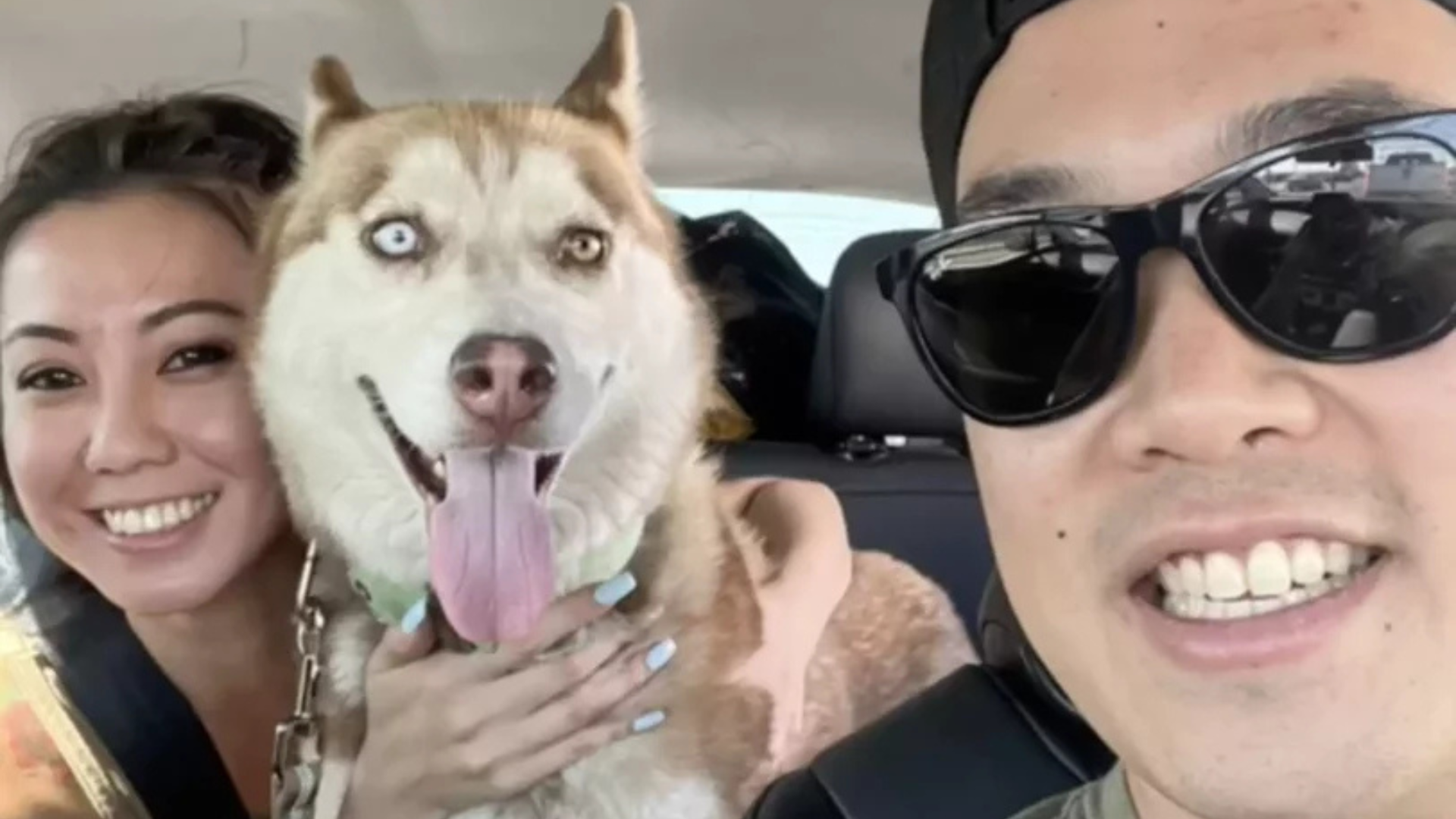 couple with husky in car