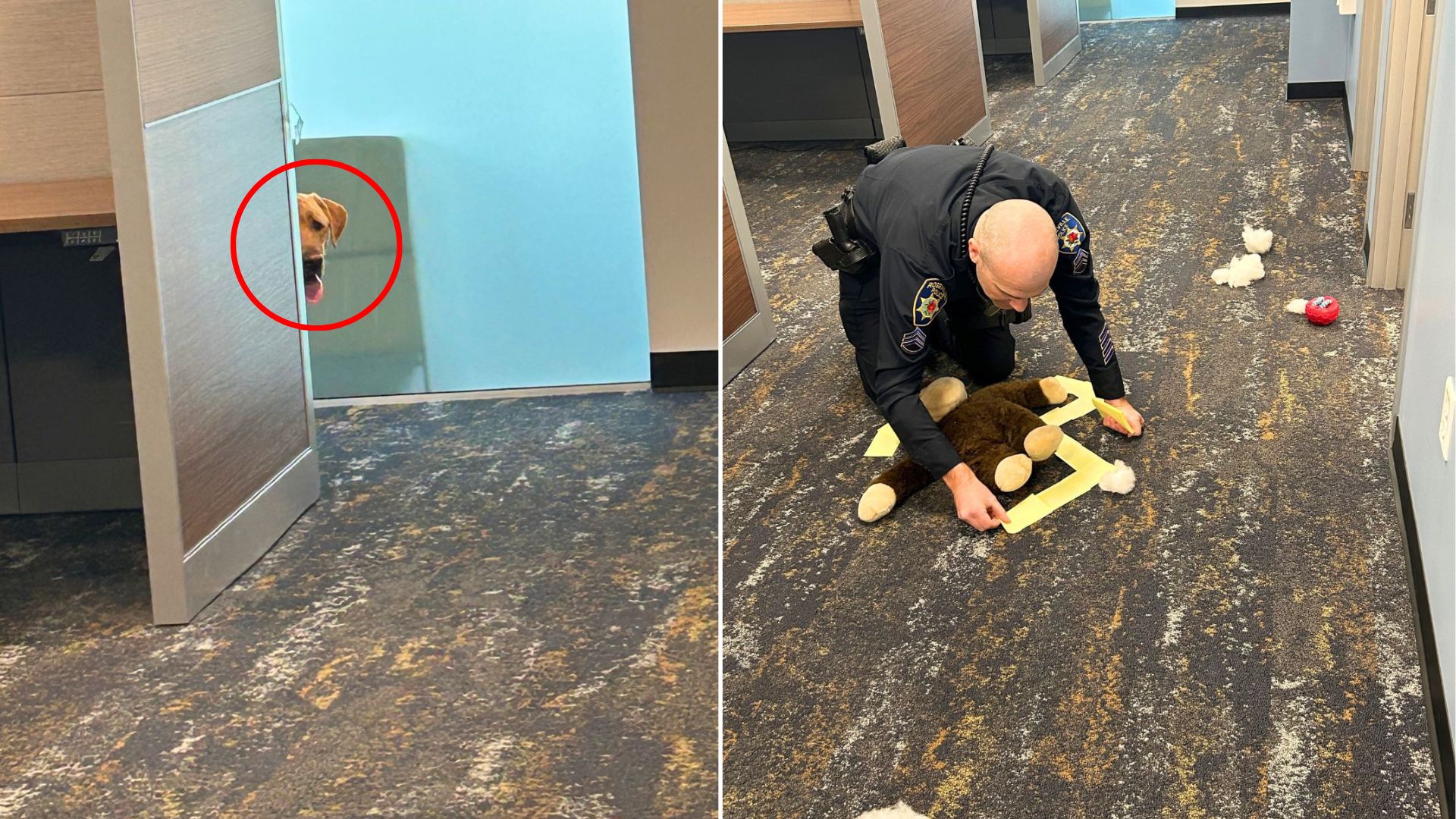 officer and broken toy