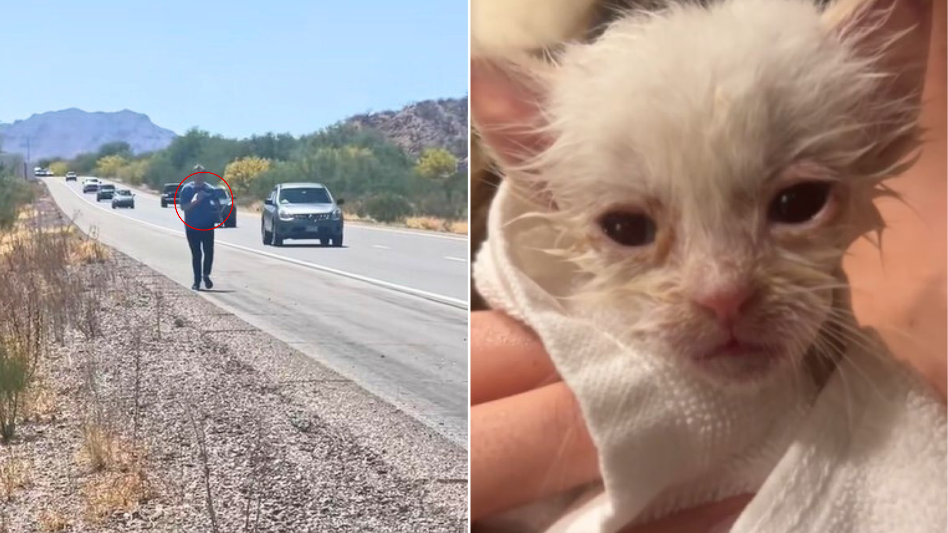 car rescued from highway