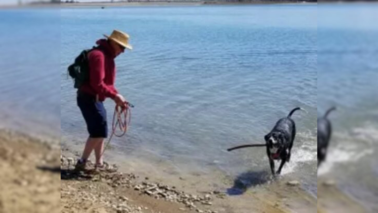 dog and man in water