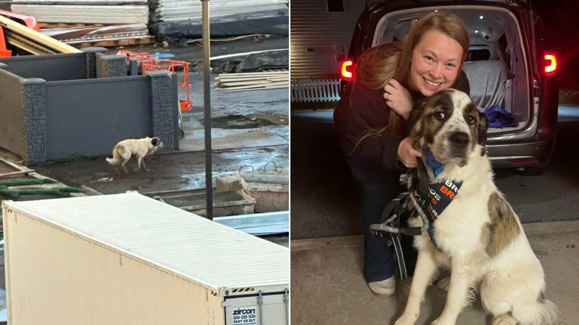 woman with large dog