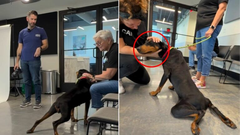 man and senior black dog