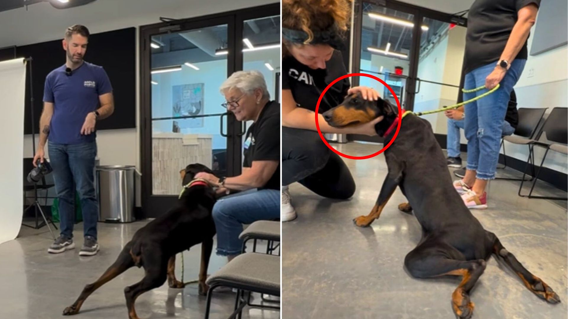 man and senior black dog