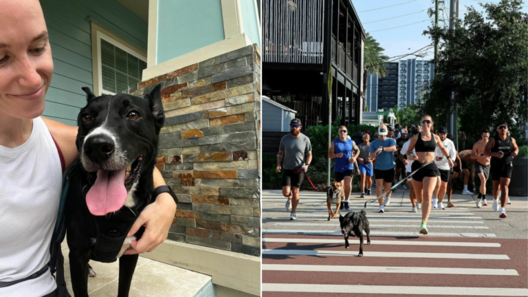 dog running with runners