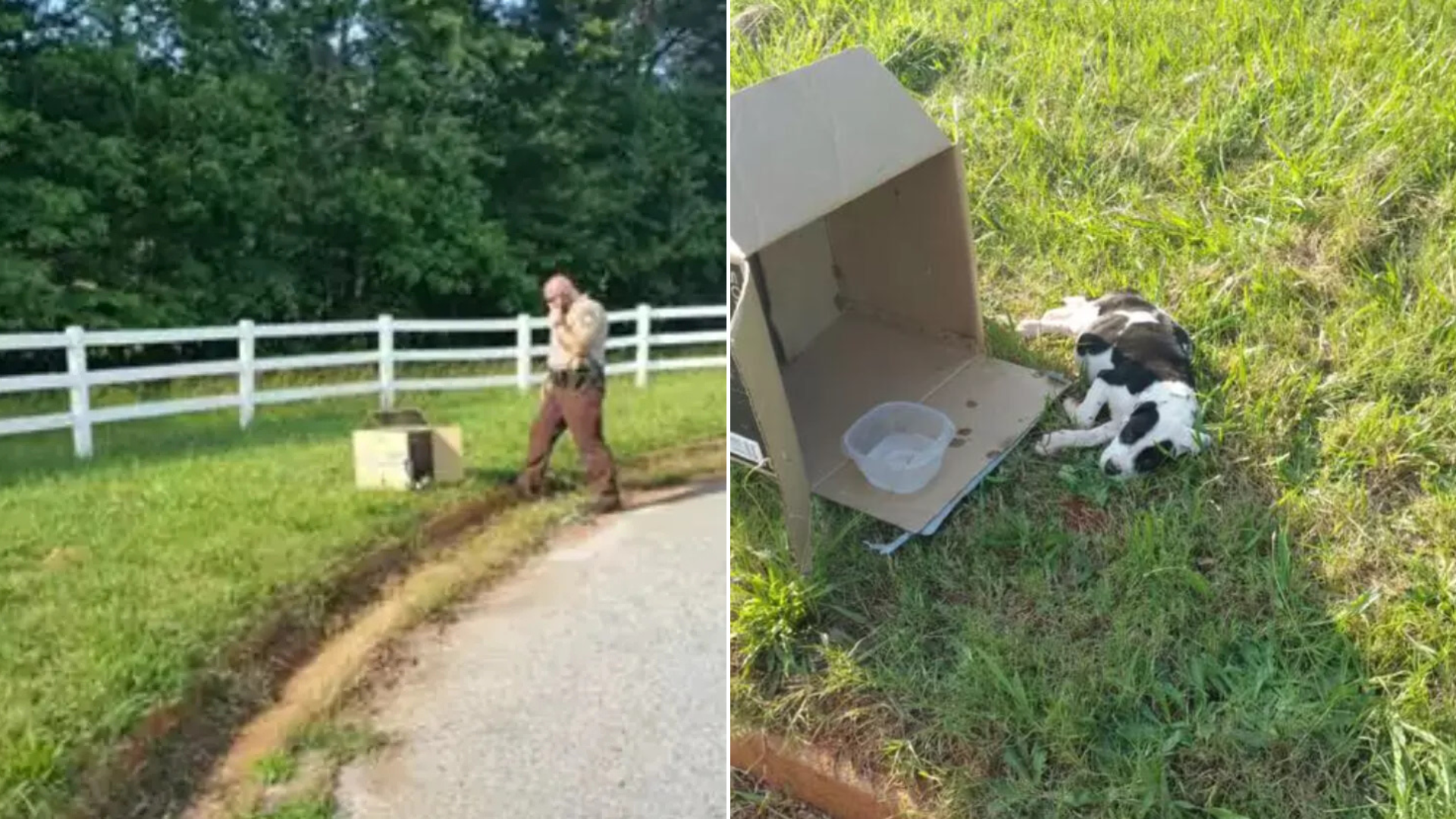 officer rescuing dog in box