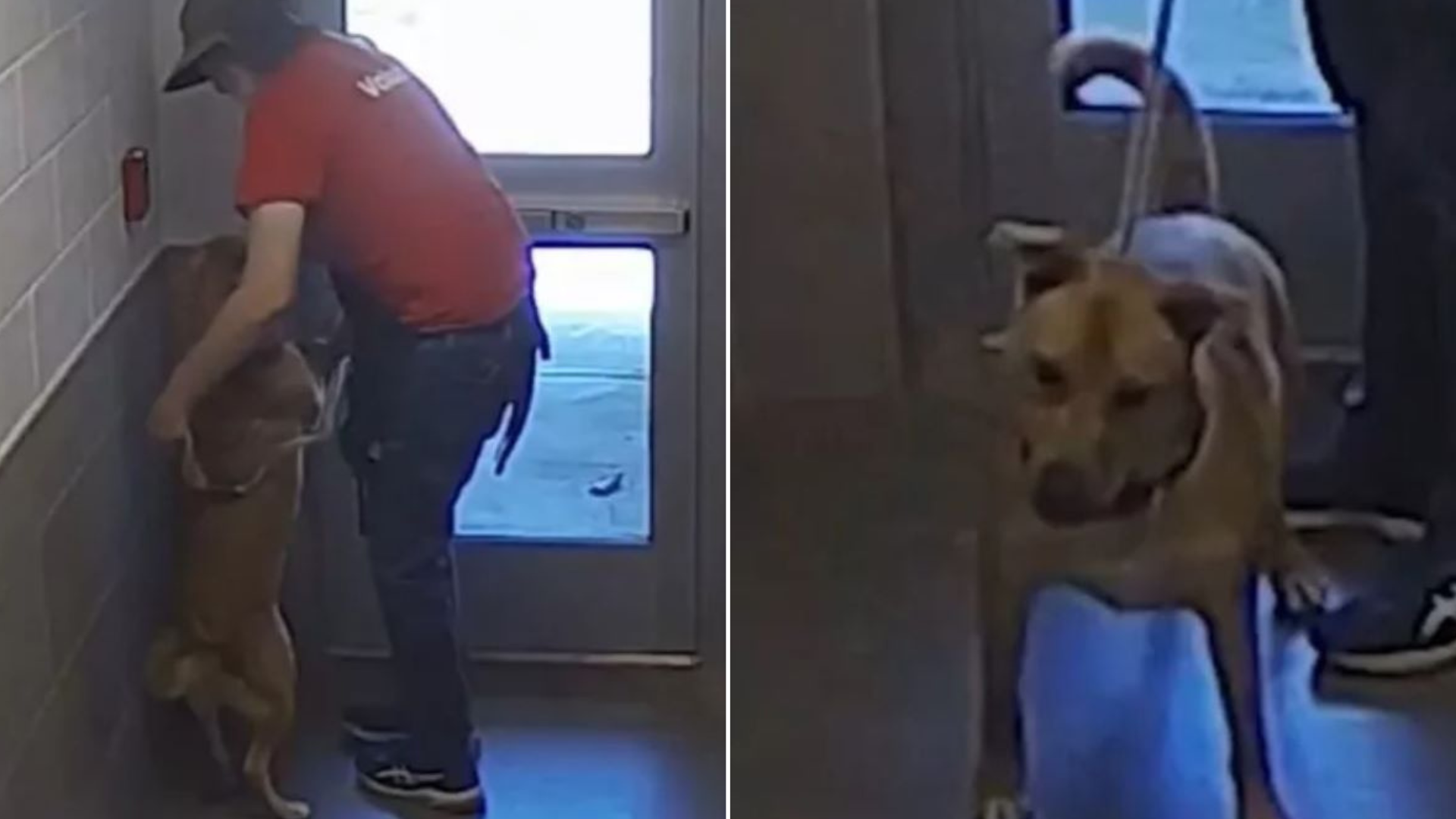 man and dog near door
