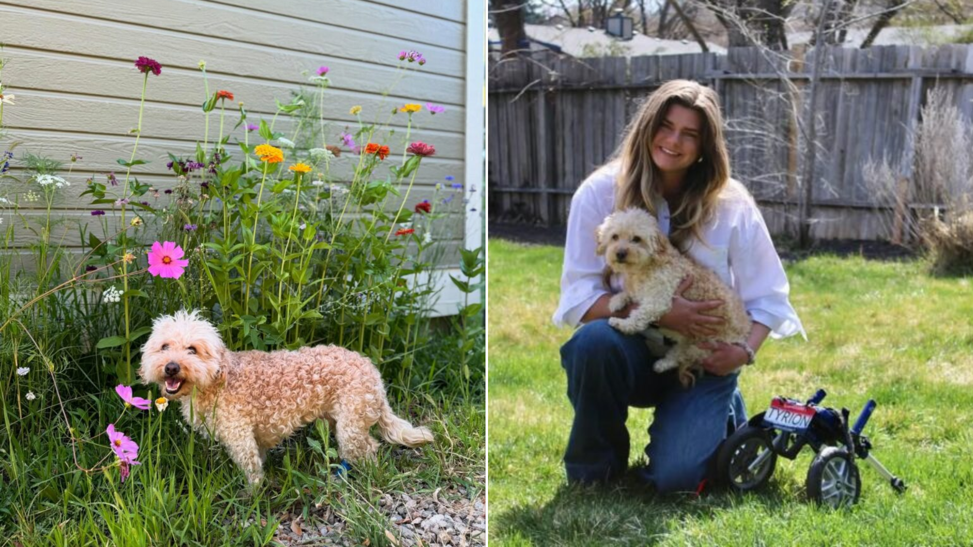 woman holding dog