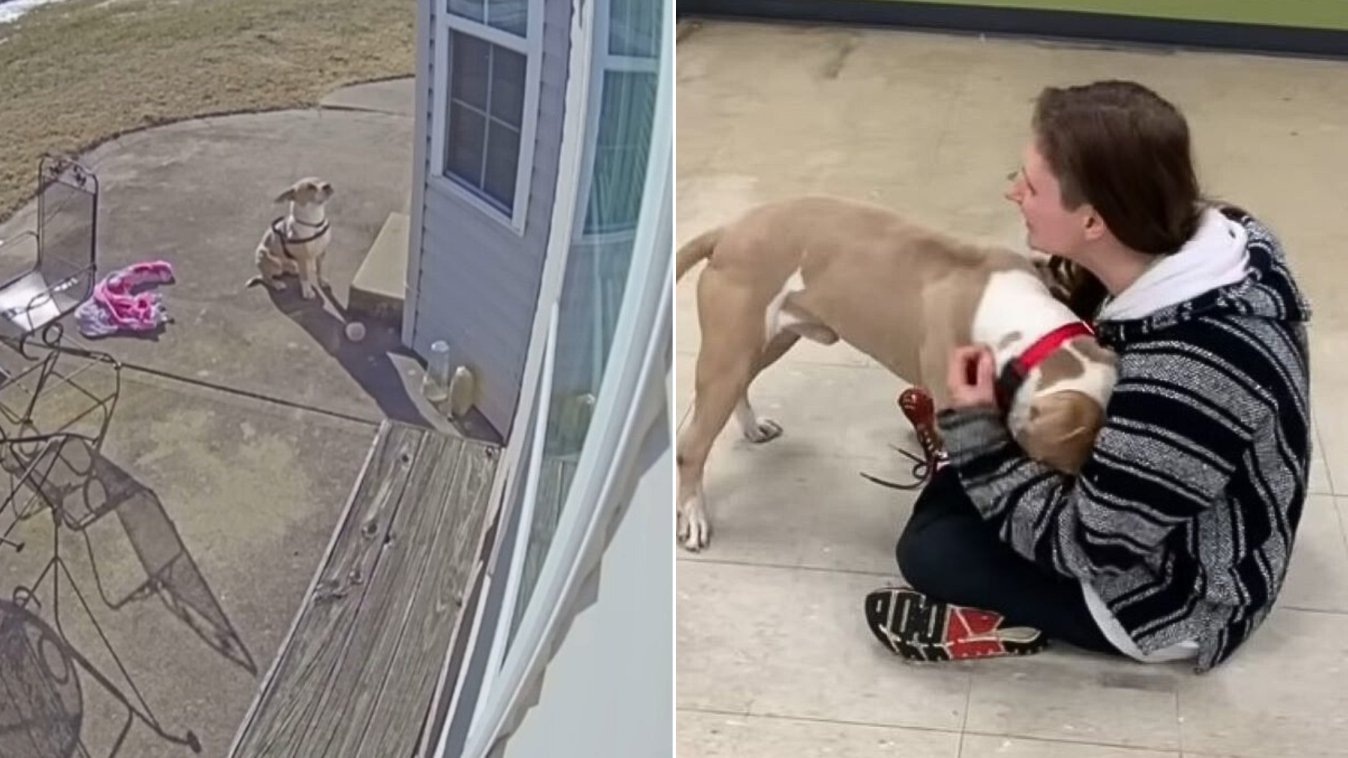 woman cuddling dog