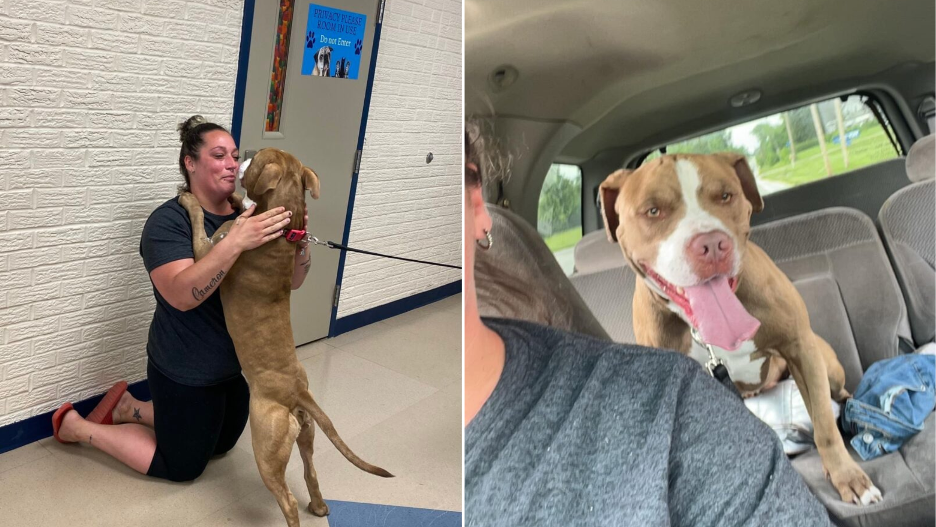 woman and dog reunion