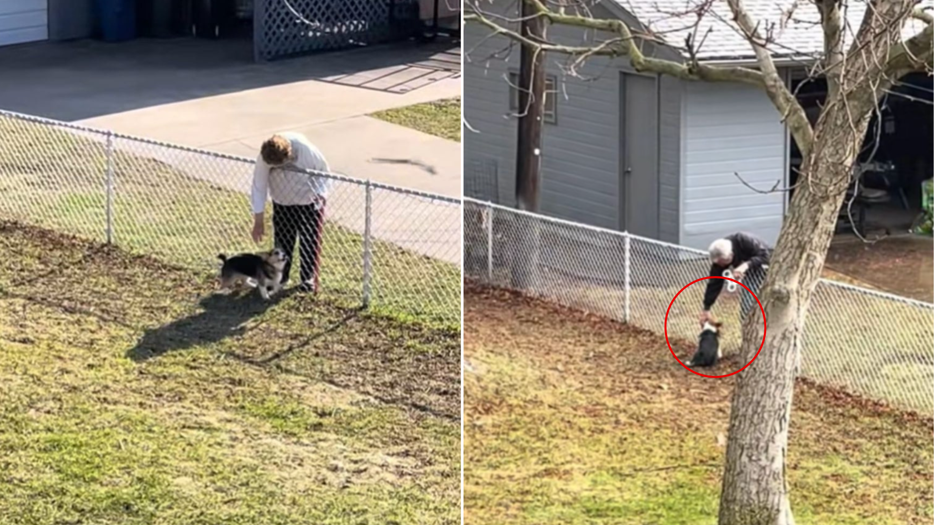 man petting dog across fence