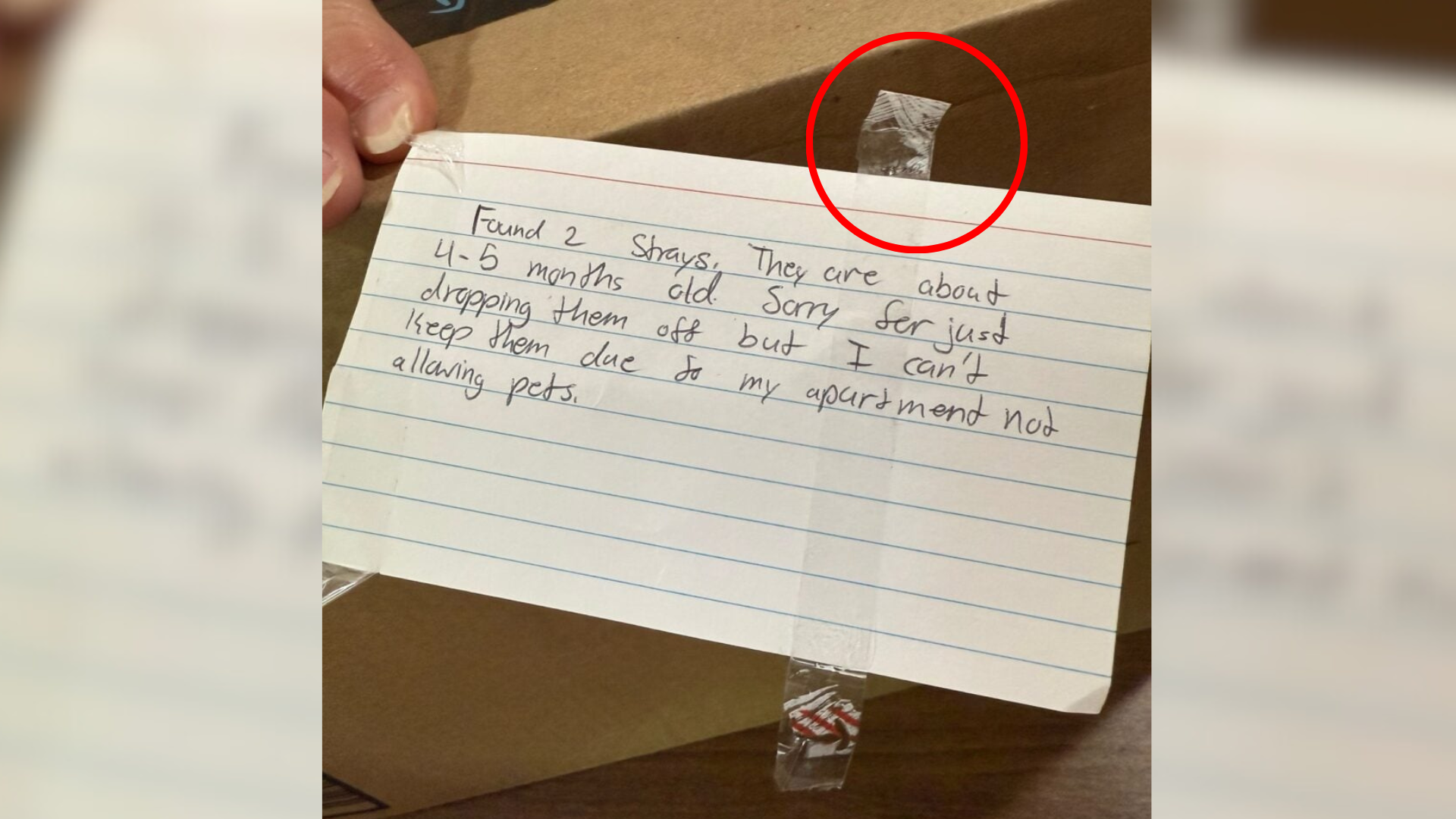 not attached to box