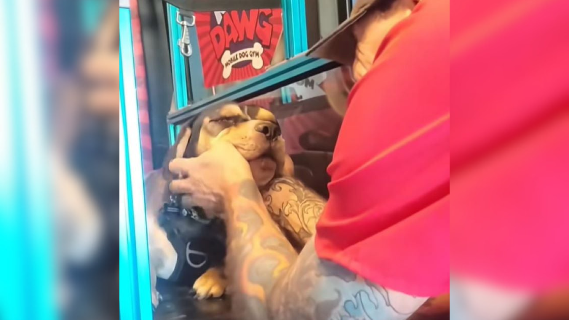 man petting dog