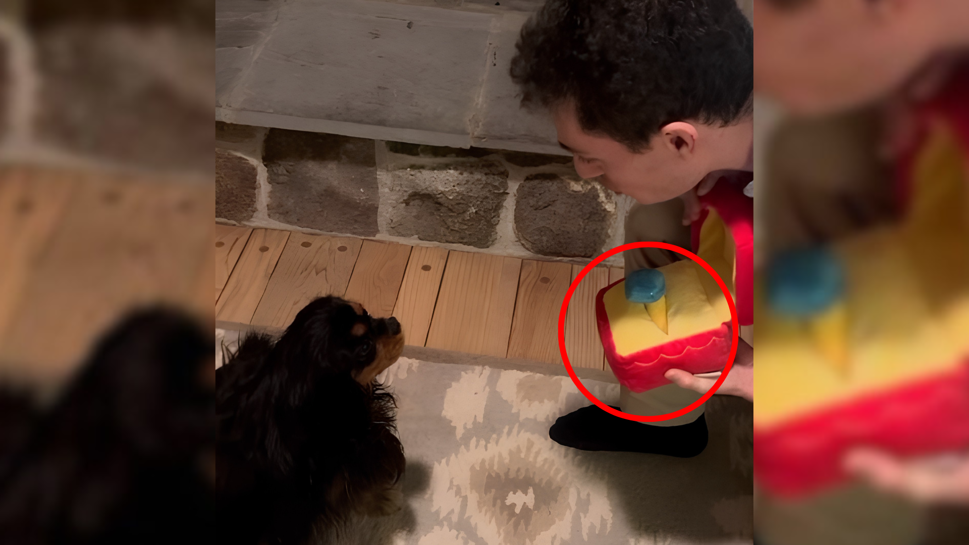 man proposing to dog