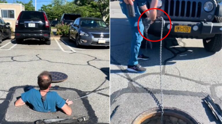 man saving a ducklings