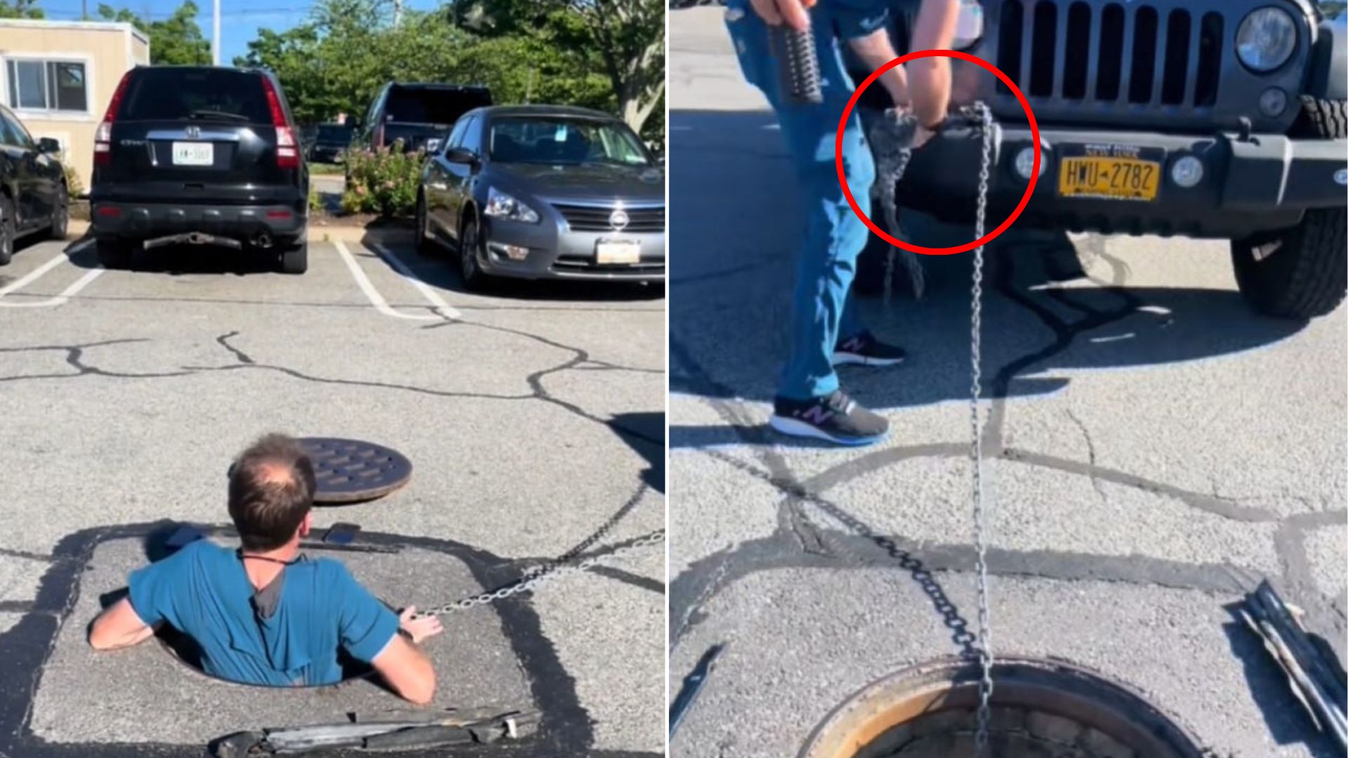 man saving a ducklings