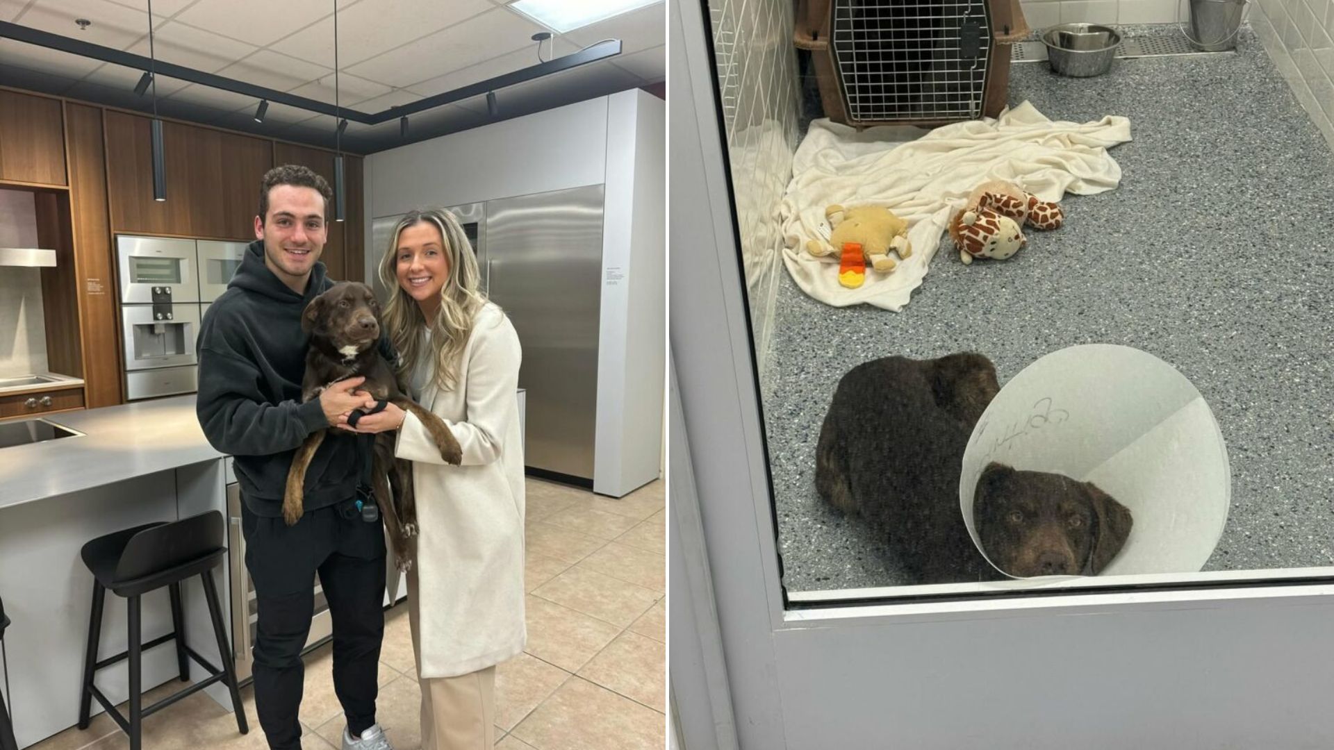 couple and sweet shelter dog