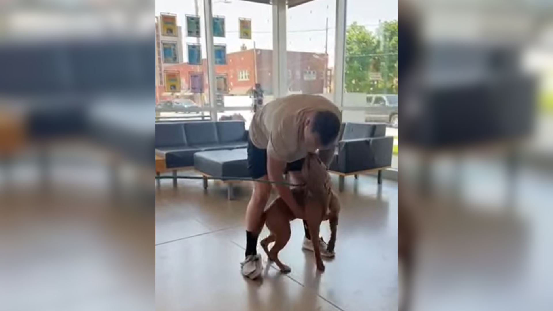man petting dog