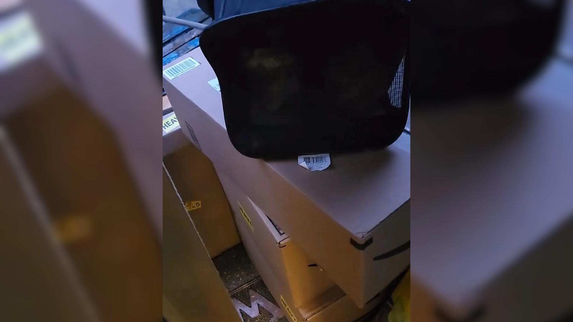bag on top of boxes