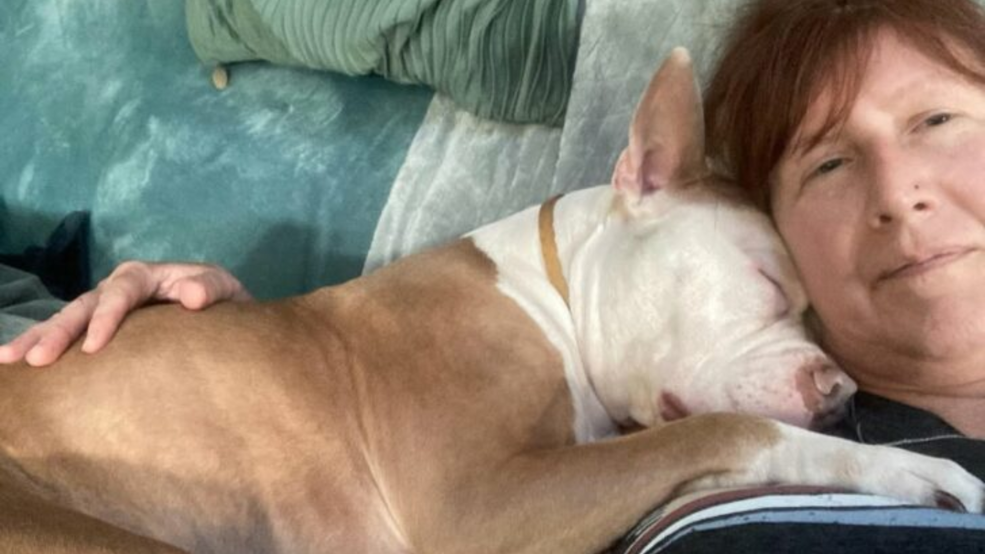 person and dog cuddling