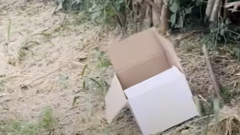 abandoned box