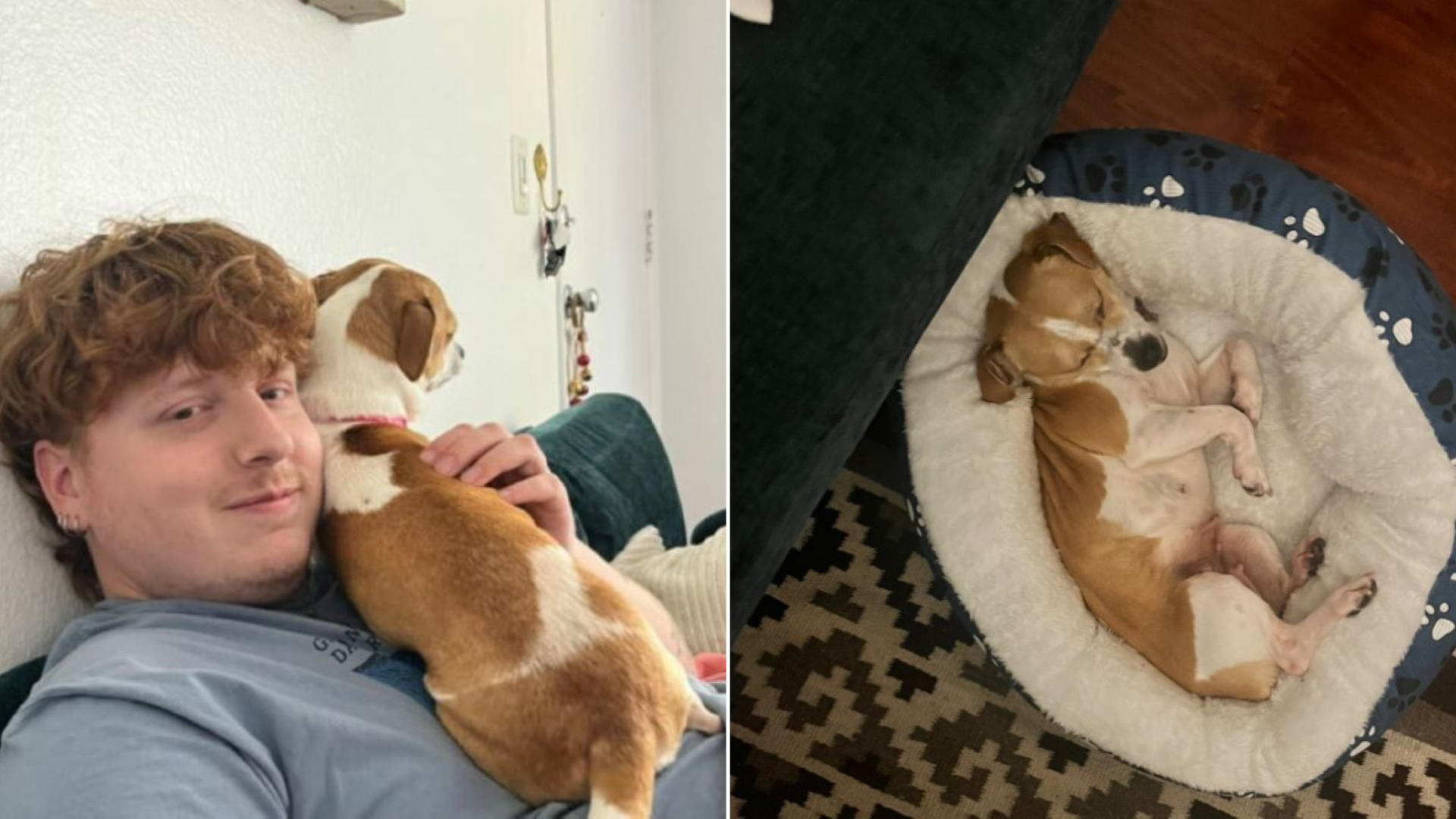 man cuddling dog