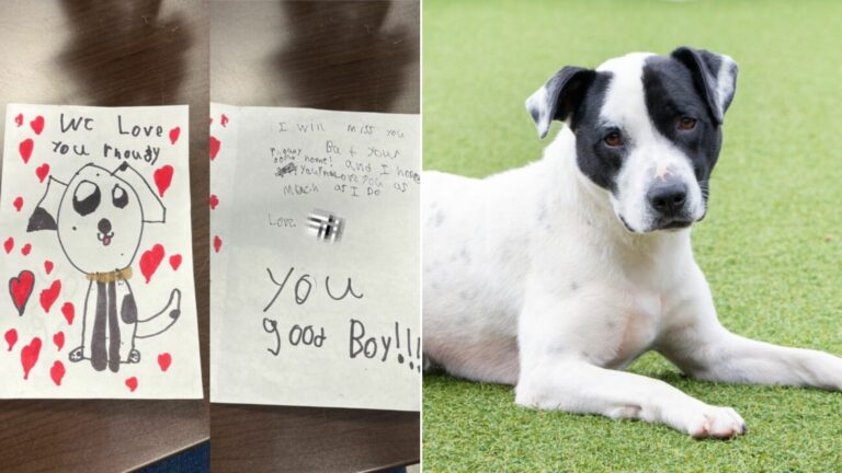 dog and note
