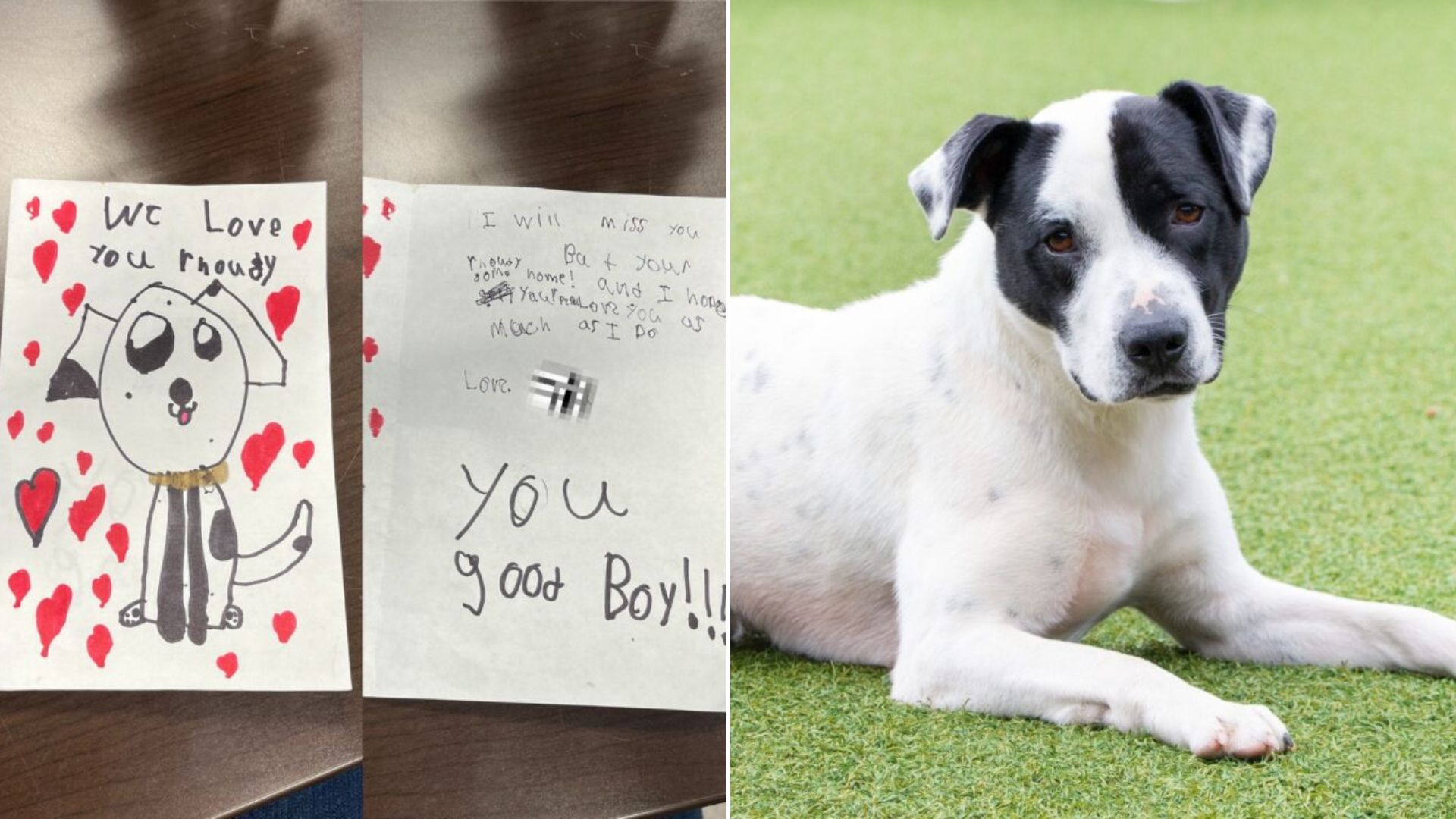 dog and note
