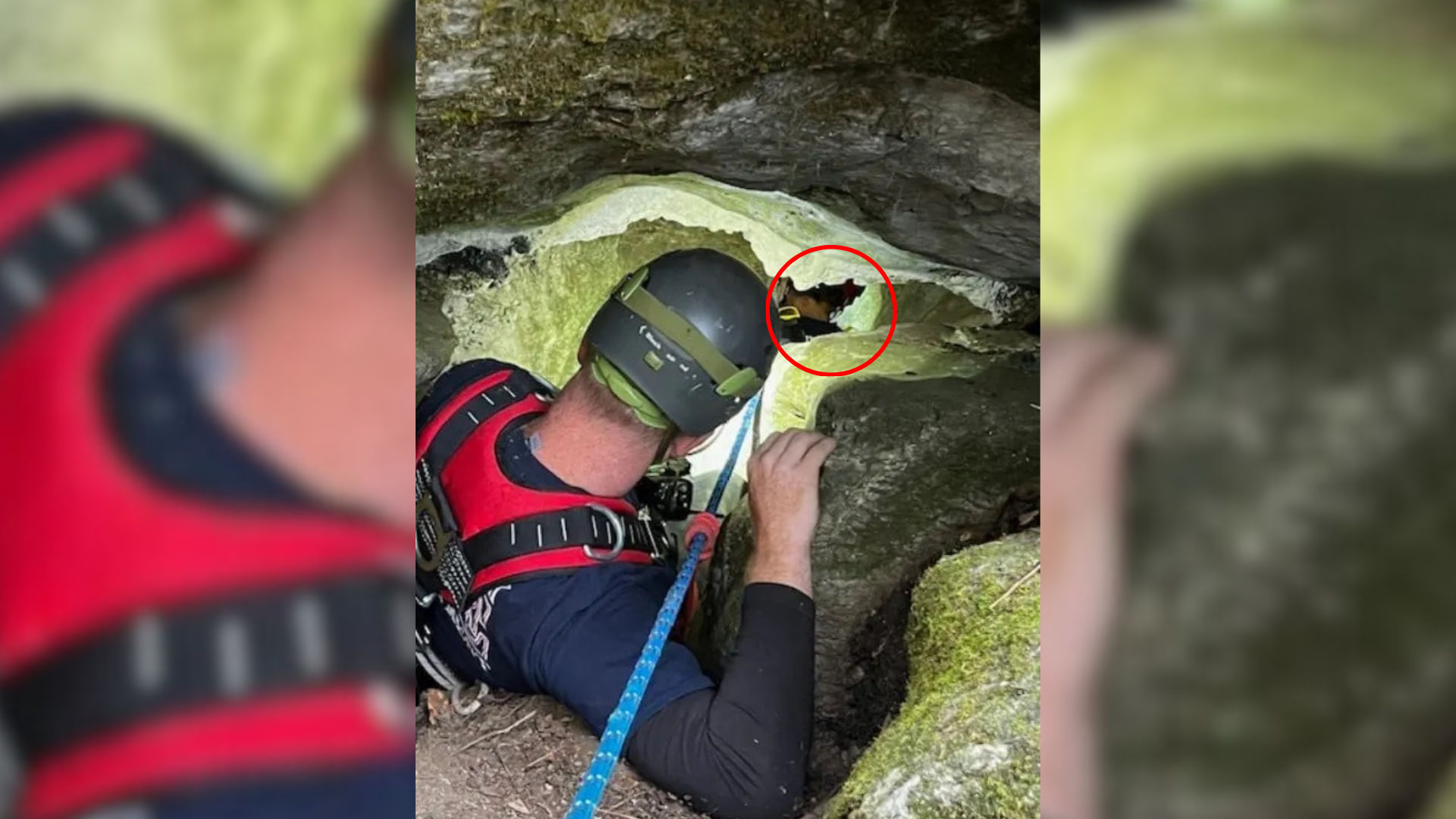 dog rescue from cave