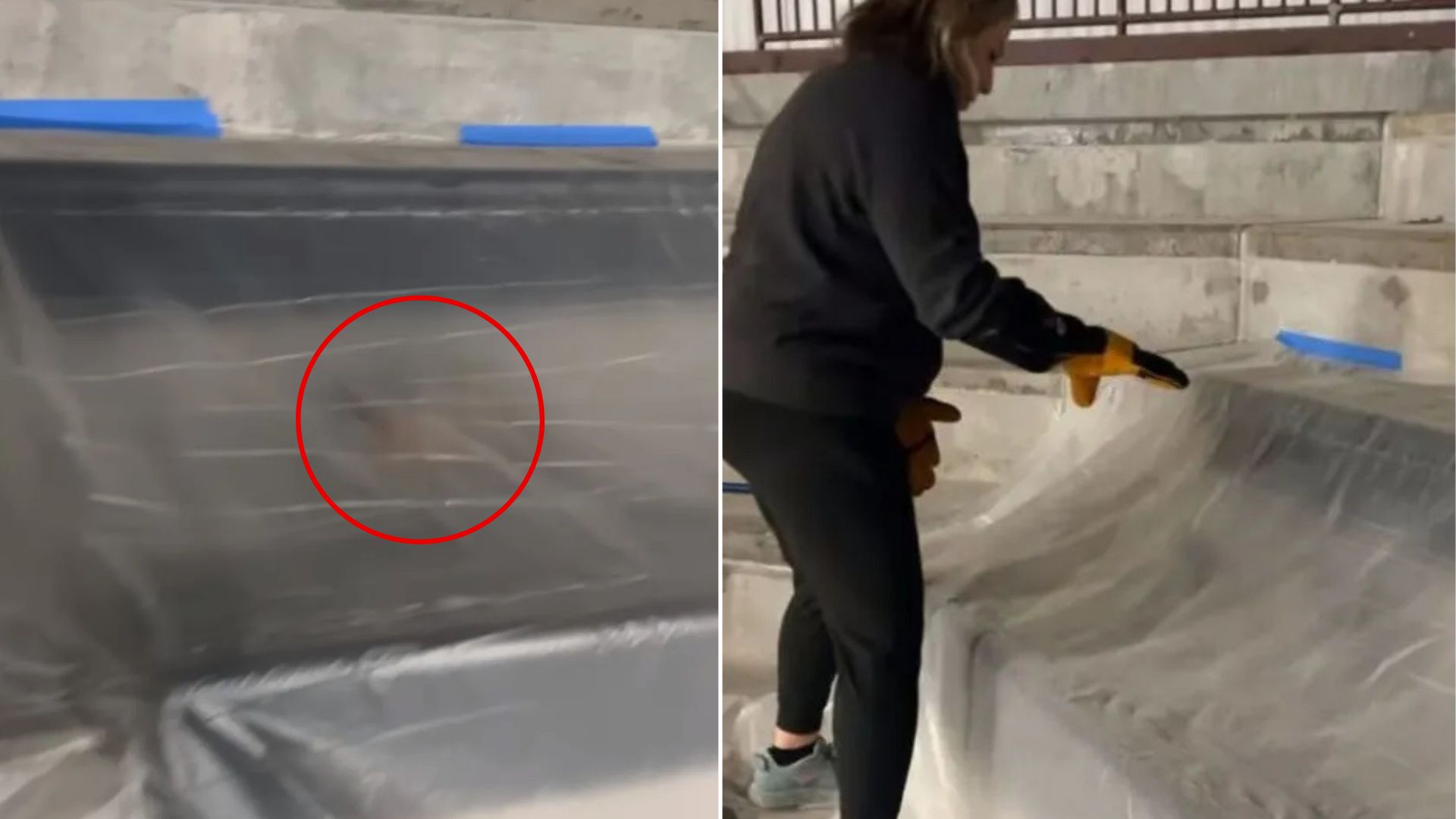 Texas Construction Workers Stop Their Shift For A Frightened Fox Trapped Beneath A Tarp