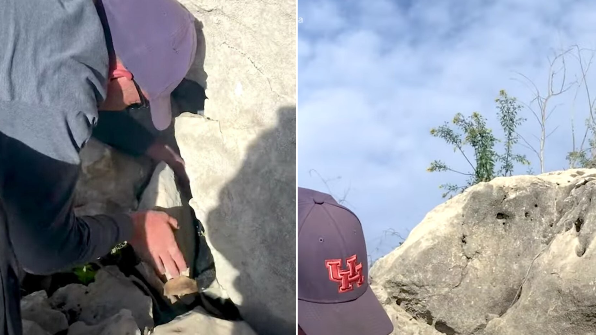 mountain animal rescue