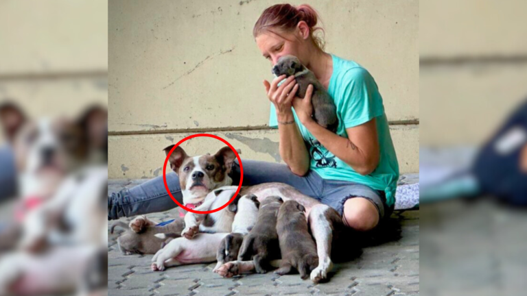 woman holding dogs