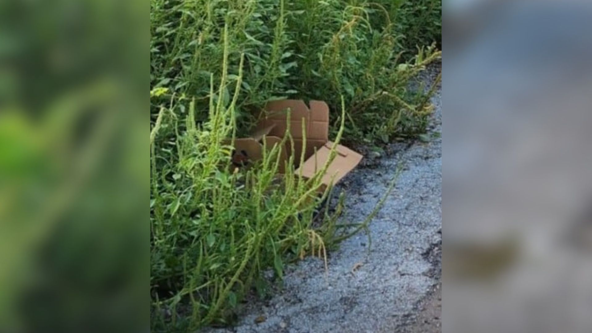 abandoned box