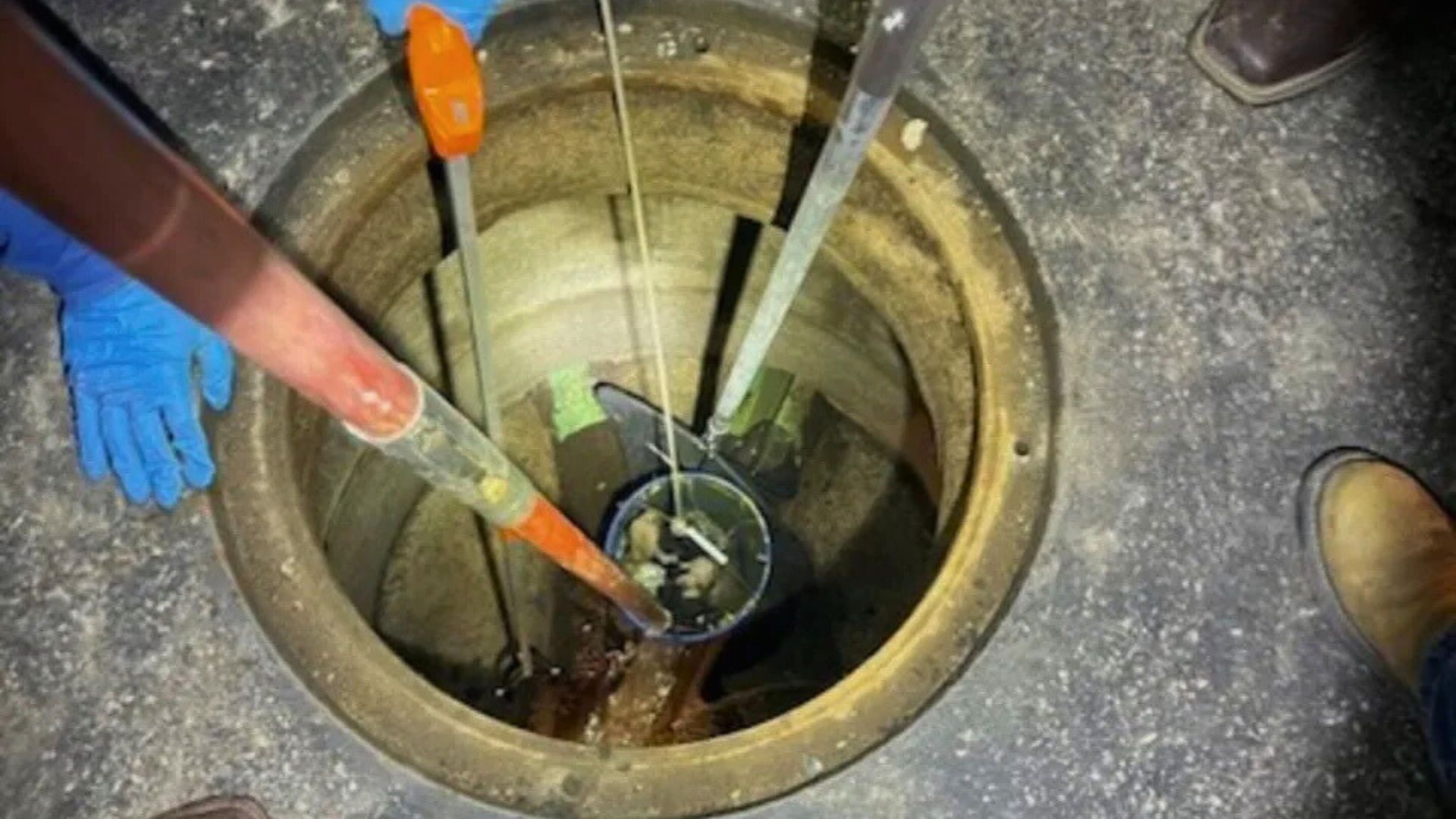 dog in sewer