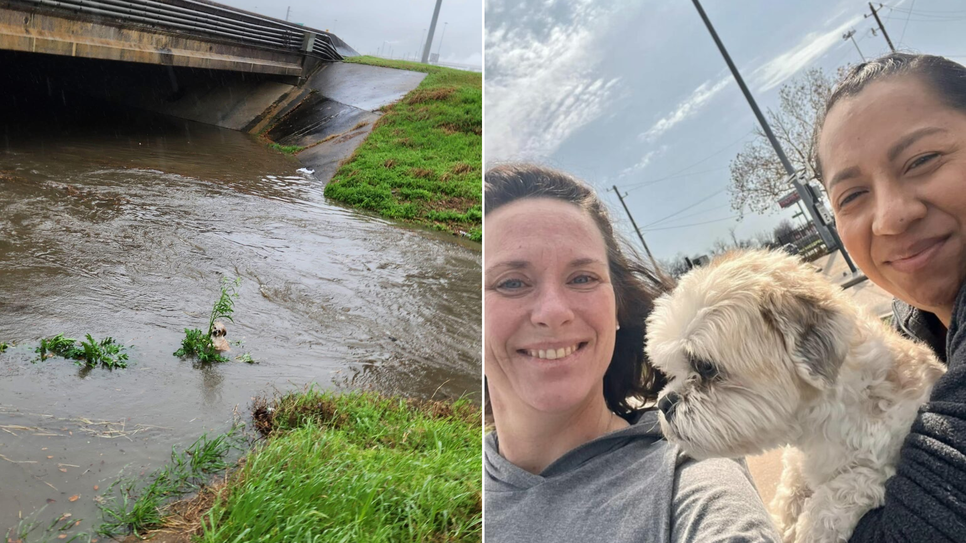 women with rescued dog