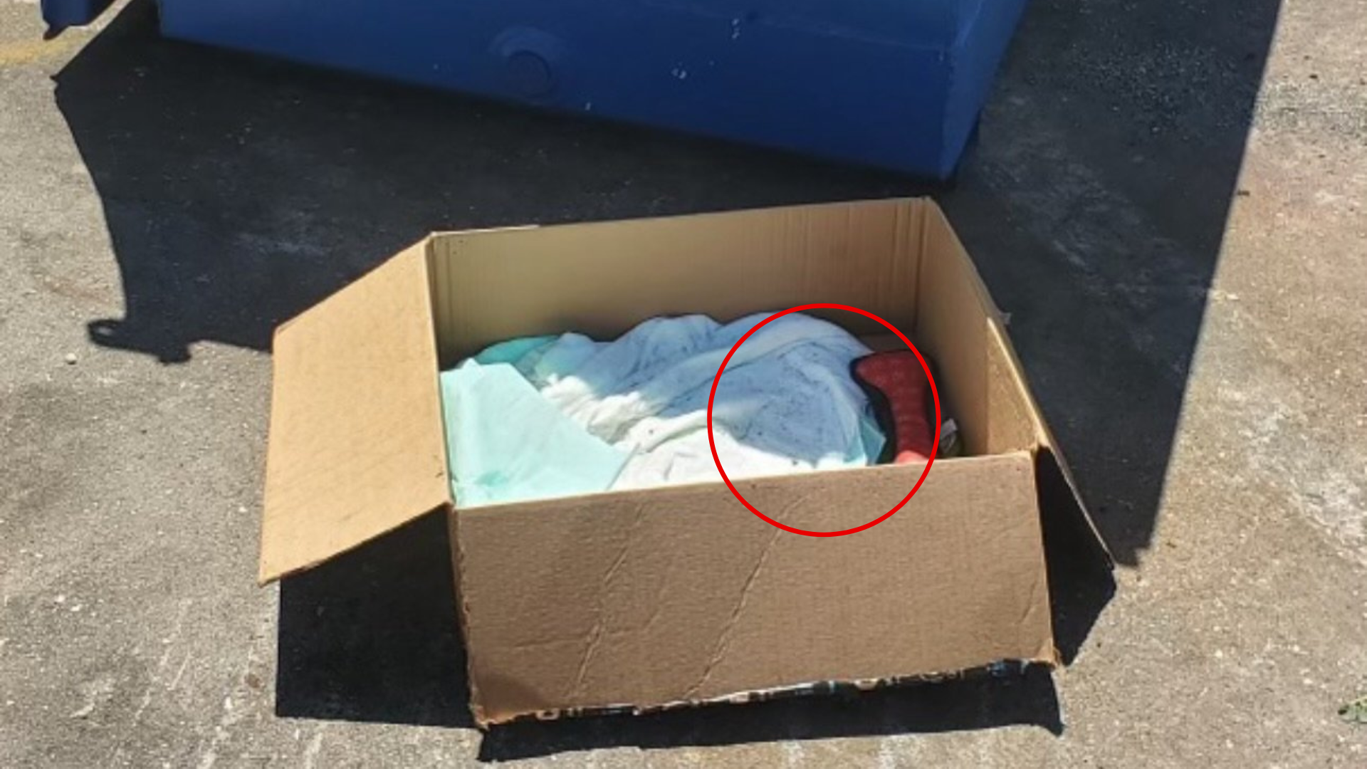 box with puppy supplies