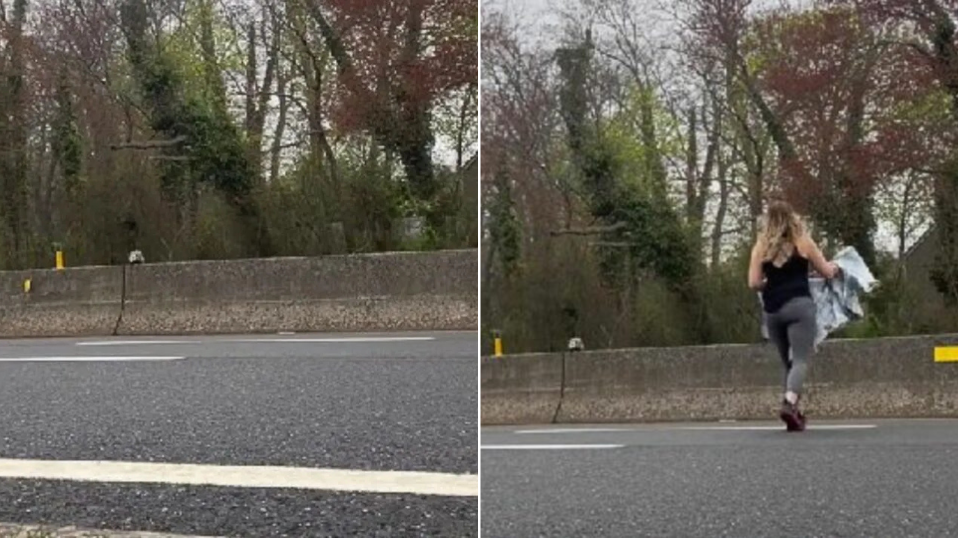 woman rescuing animal on highway