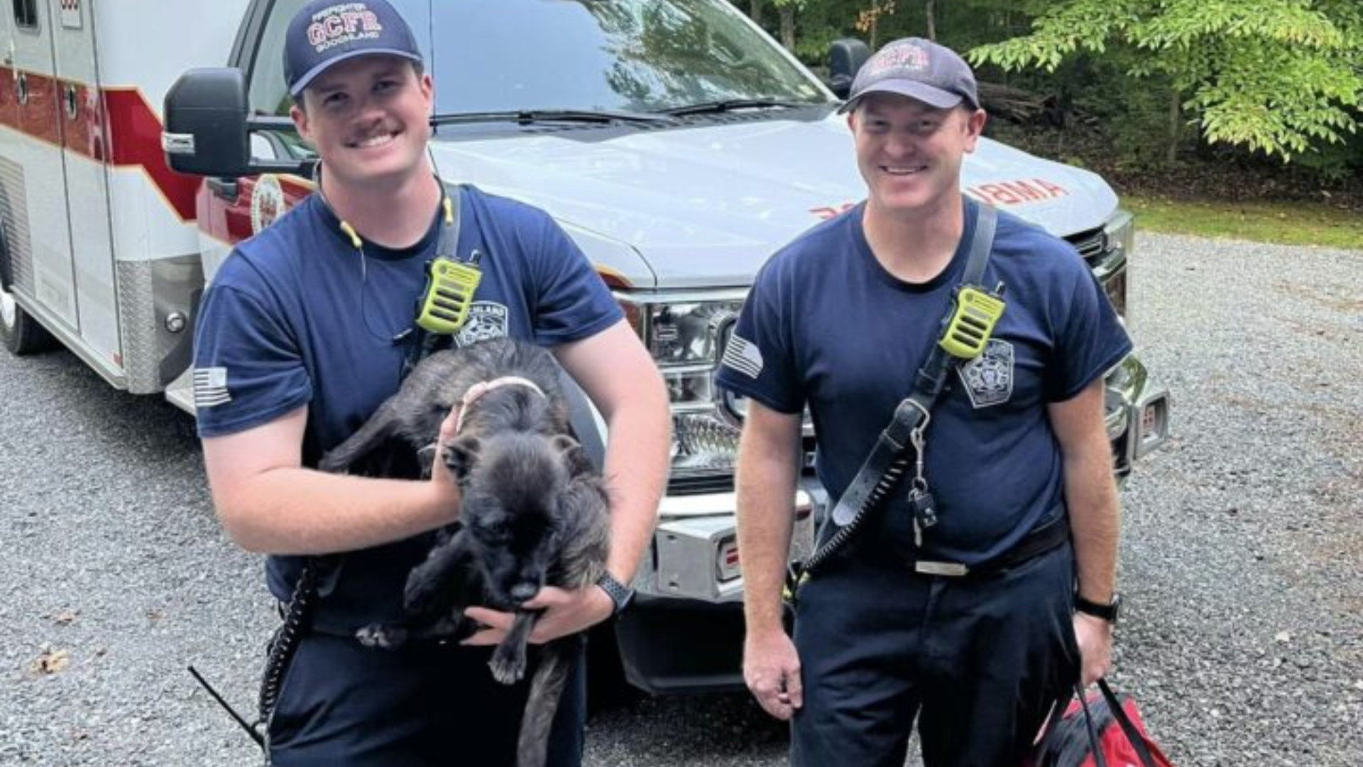 firemen and dog