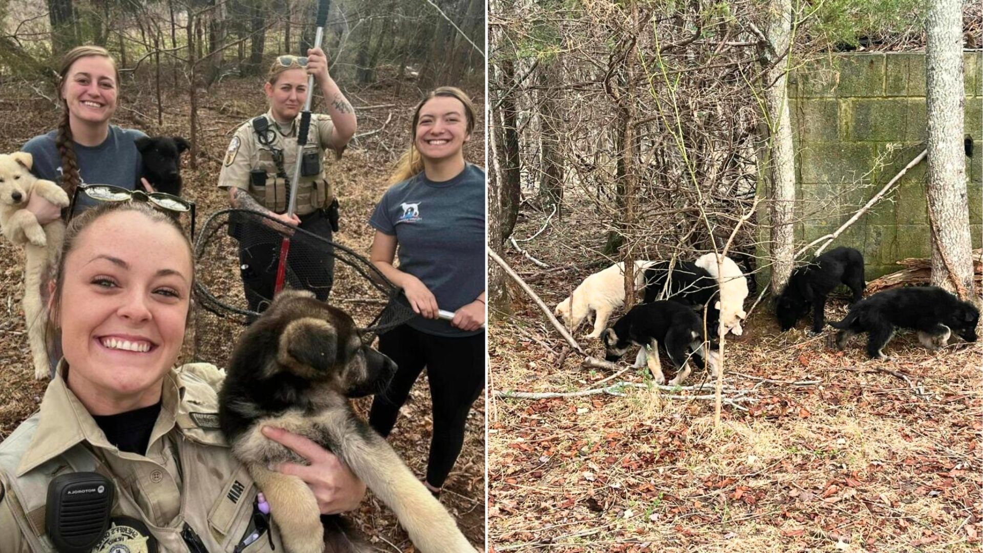 people and puppies in woods