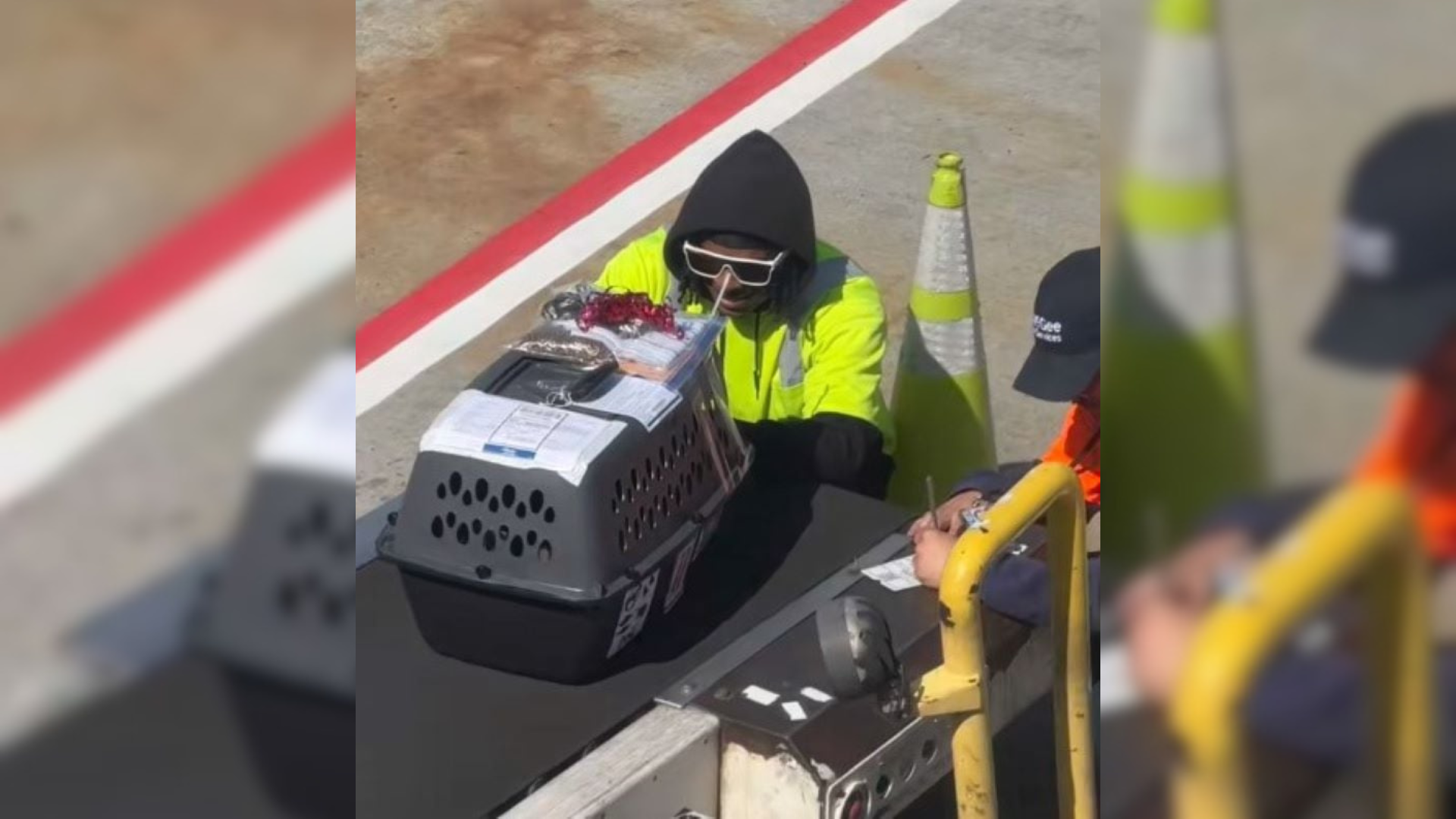 airport staff looking into pet carrier