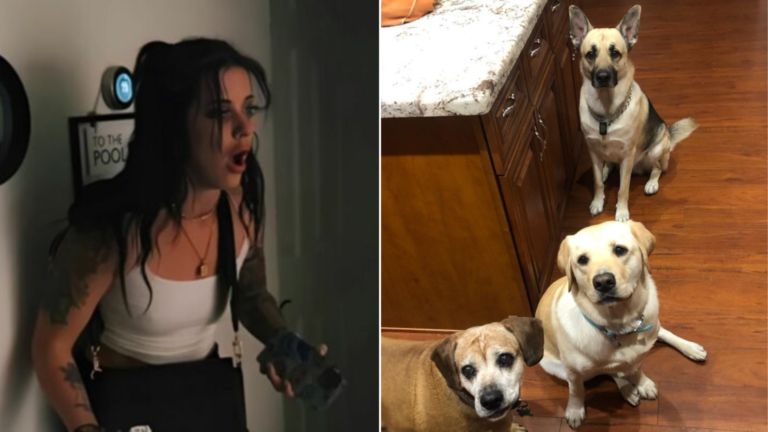 shocked woman and dogs