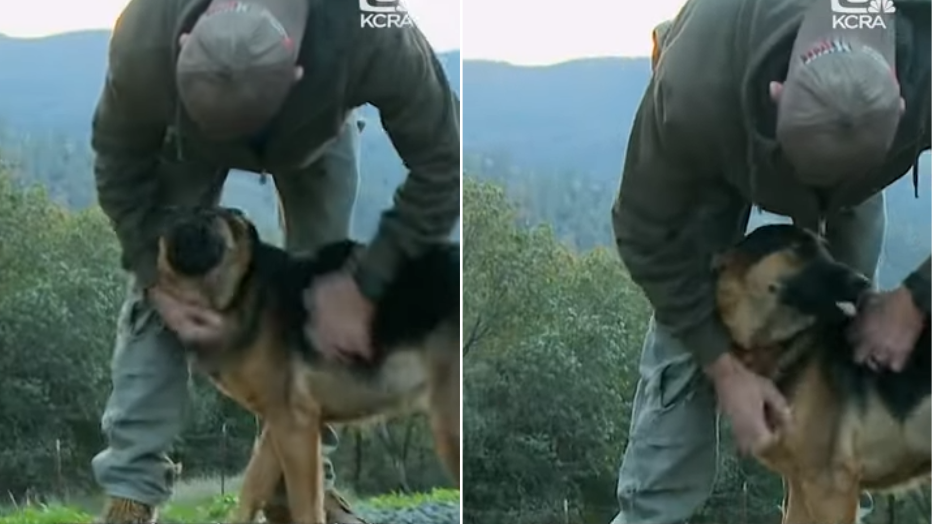 man holding dog outdoors