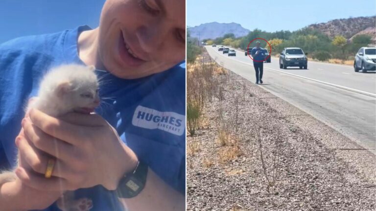 man holding a tiny kitten